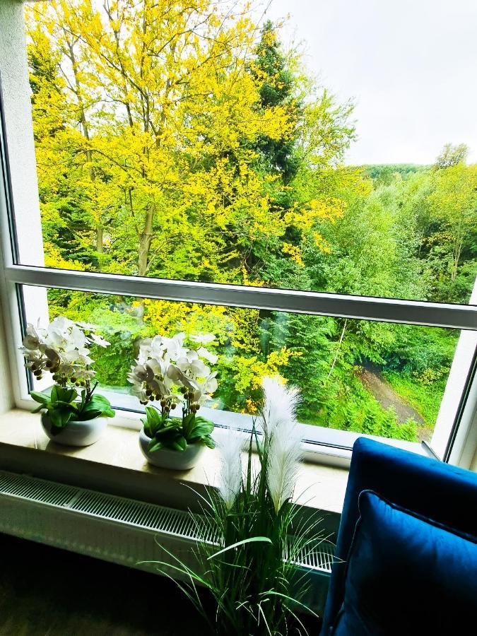 Apartament Kurort Kozubnik Wilcza Wataha Porąbka Exteriér fotografie