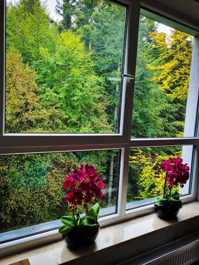 Apartament Kurort Kozubnik Wilcza Wataha Porąbka Exteriér fotografie